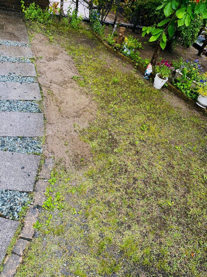 梅雨の安全対策!雨のぬかるみに気をつけて!足元!ボウフラetc~