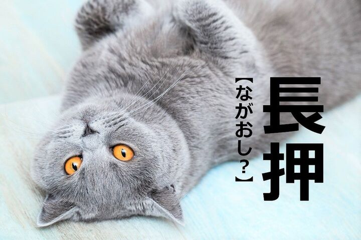 【長押】を「ながおし」と読むと笑われます!【読めないと恥ずかしい漢字クイズ】