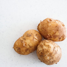 新じゃがの季節☆美味しさ長持ち!選び方や保存方法まとめ