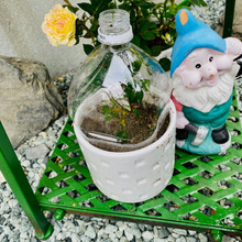 梅雨にオススメ!この湿気を利用する手はない♪薔薇の挿し木\(^o^)/