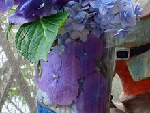 100均のグラスで…窓辺にお洒落な紫陽花水中花!