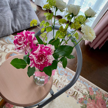 センチメンタル(薔薇の名)を育てたい 切り花で挿し木