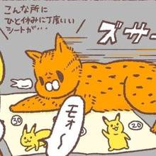 ピカチュウより愛されたい猫の話