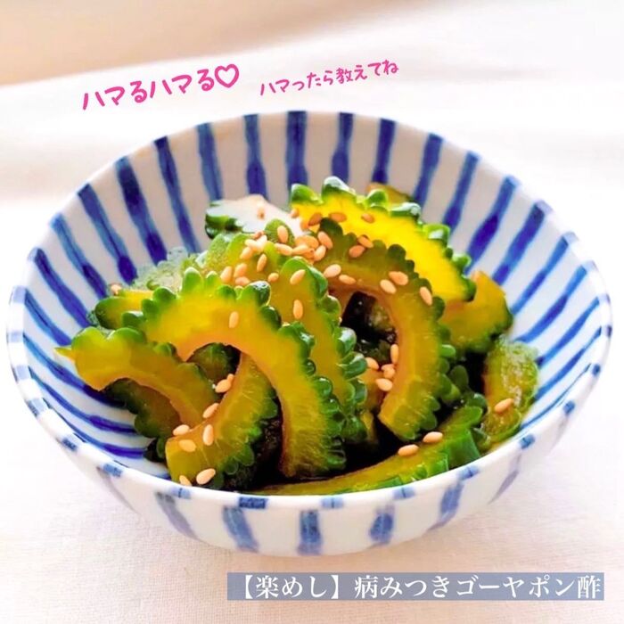 【楽めし】病みつきゴーヤポン酢