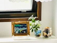 トイレの芳香剤はもういらない!これが効果を発揮!まさにエコライフ(*^◯^*)