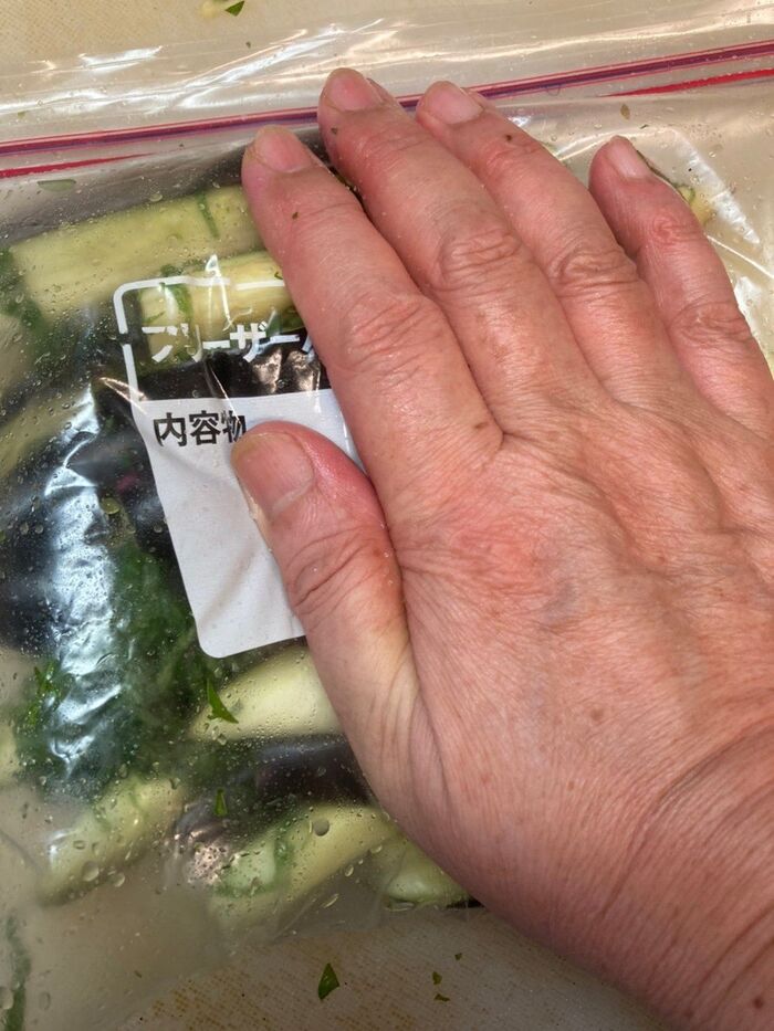 塩を洗わないでそのまま大葉や生姜もビニール袋に入れます