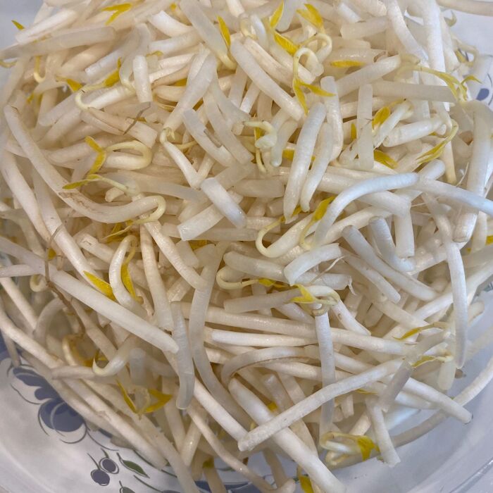 1もやしはひげ根を取る