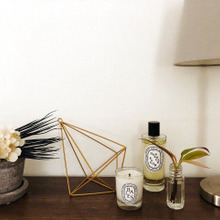 使い終わった【スパイス容器】意外と可愛くて使えた!