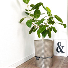 大きい観葉植物の鉢カバー【100均グッズ】で!