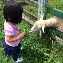 子どものイライラに引きずられそうな時、有効な対処法