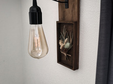 ほぼ100均で間接照明