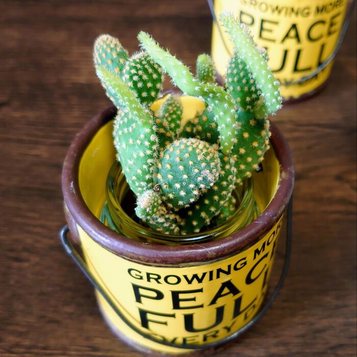 勿論、瓶ごと入れても