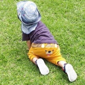 これだけはやっておきたい!芝のお手入れ