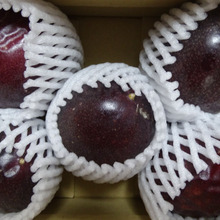 今が・・・旬 フルーツ3種(パッション、無花果、すもも)