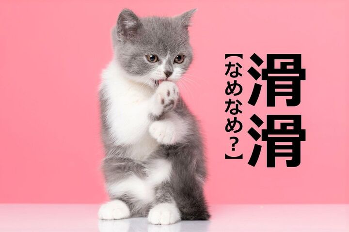 【滑滑】を「ナメナメ」と読むと笑われます!【読めないと恥ずかしい漢字クイズ】