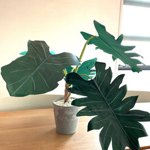 ほぼ100均!ペーパープランツを作って飾ろう