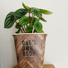 ダストBOXとしては使っていないが、とても活躍中\(^o^)/