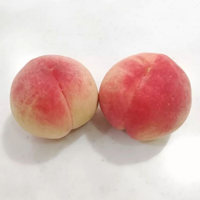 ⑮ピーチゼリー