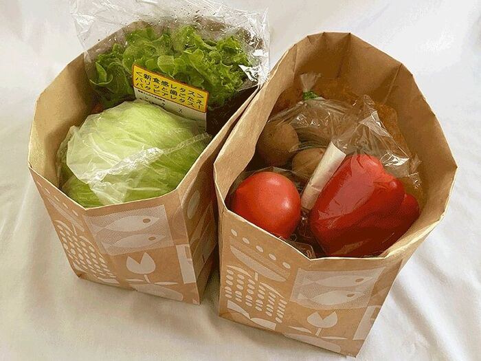 【ダイソー】ついに登場!冷蔵庫・野菜室の整理グッズ