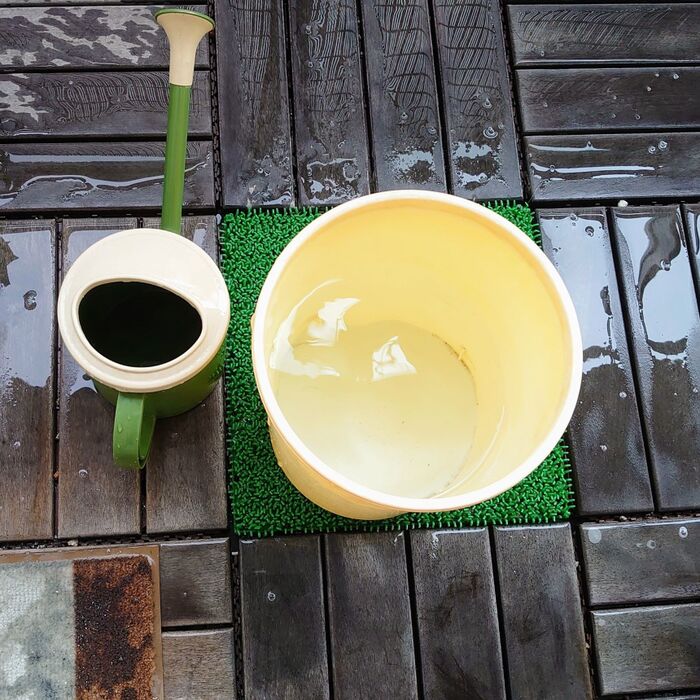 ②このお水を、観葉植物の水やり用に使う!