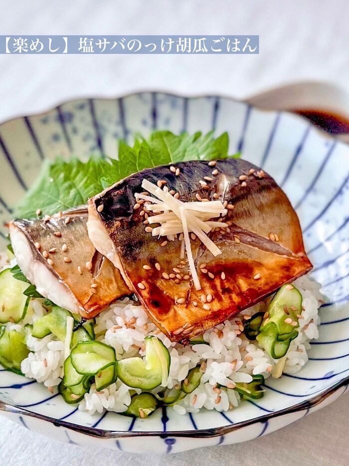 【楽めし】塩サバのっけ胡瓜ごはん