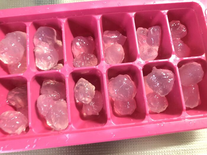 ビニール手袋をつけて、製氷皿にわらび餅を入れていきます