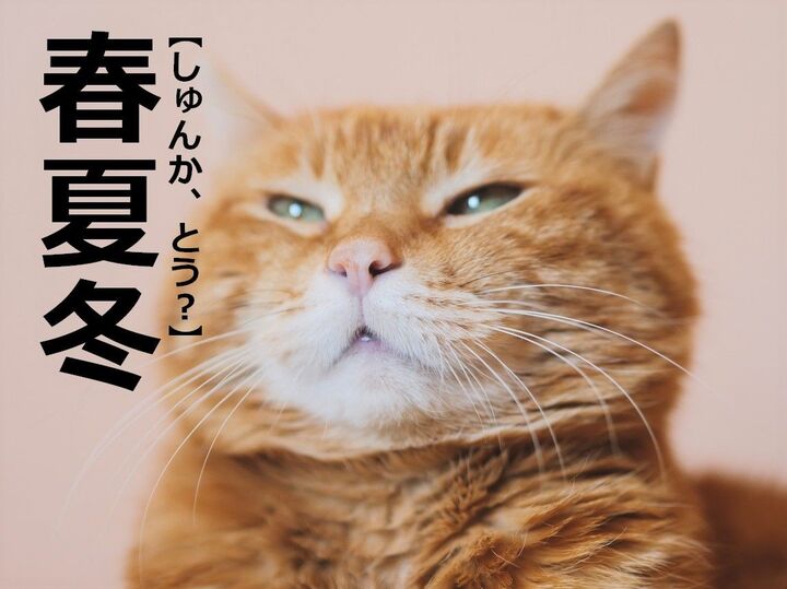 【春夏冬】を「しゅんか、とう」と読むと笑われます!「秋がないからだよね」「トンチみたい(笑)」|読めないと恥ずかしい漢字クイズ