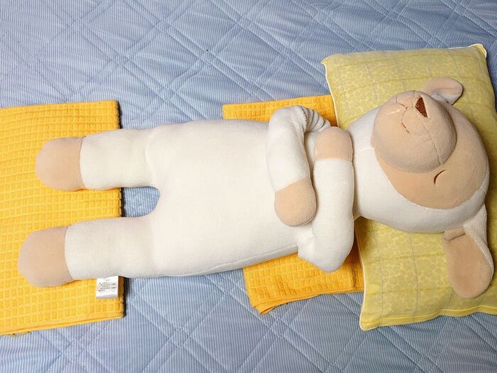 寝る際の首元と足元に置けば……安眠