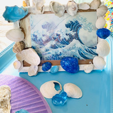 家にしまっておいた貝殻でインテリア