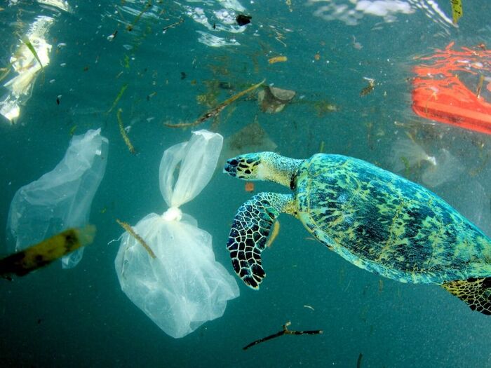 増え続ける海洋プラスチックごみ