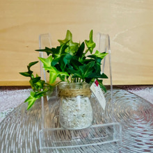 これ!飾るだけで華やか♪