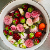 雨でポタポタ落ちた薔薇でインテリア!