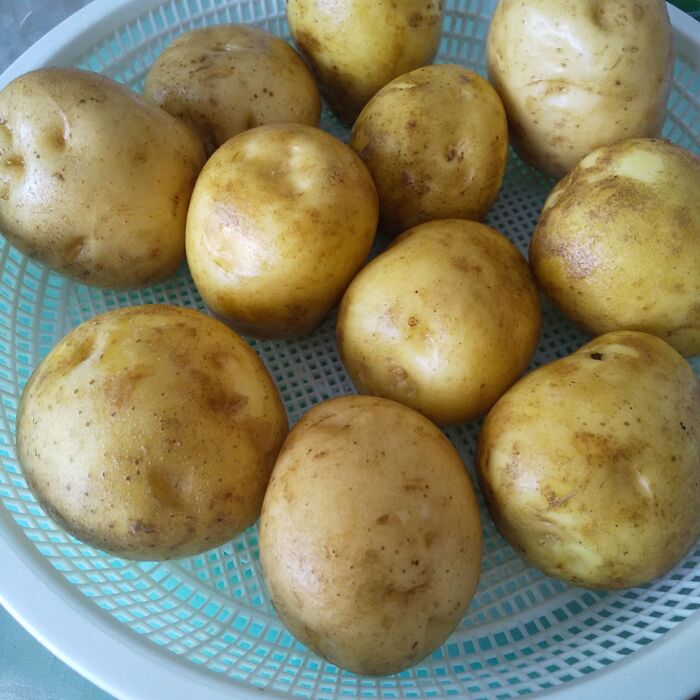 しっかりと乾燥