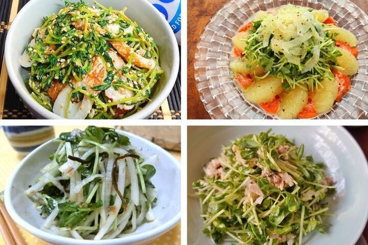 豆苗がたっぷり美味しいサラダレシピ10