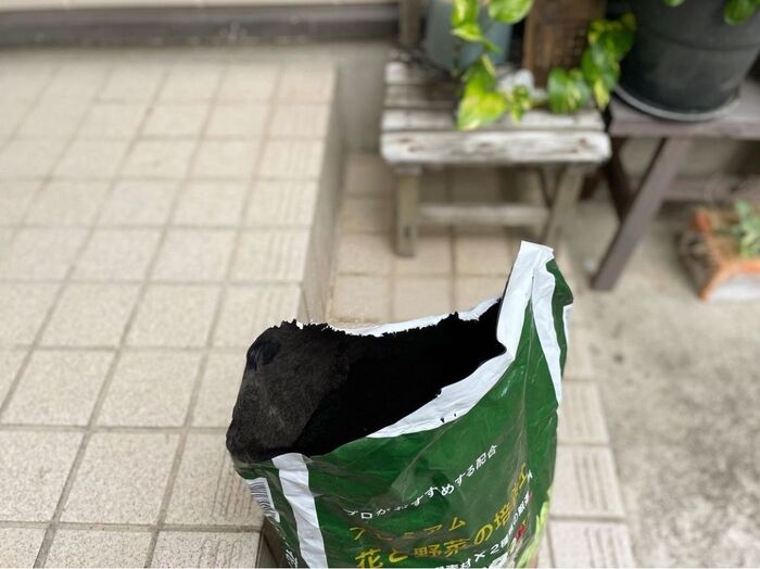 置き場に悩んでいたのはこちら