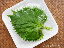 青じそがめっちゃ長持ちする保存方法