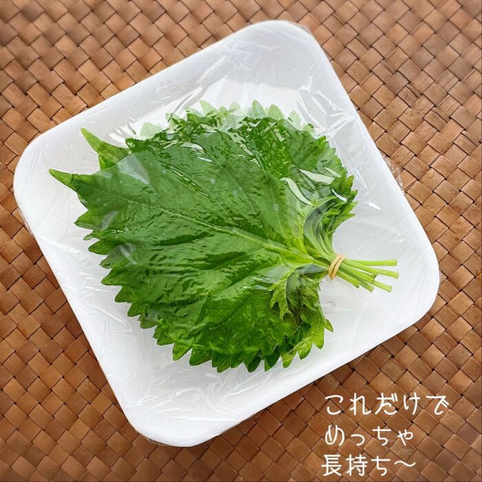 青じそがめっちゃ長持ちする保存方法