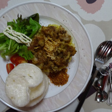 チキンオーバーライスというジャンル!!