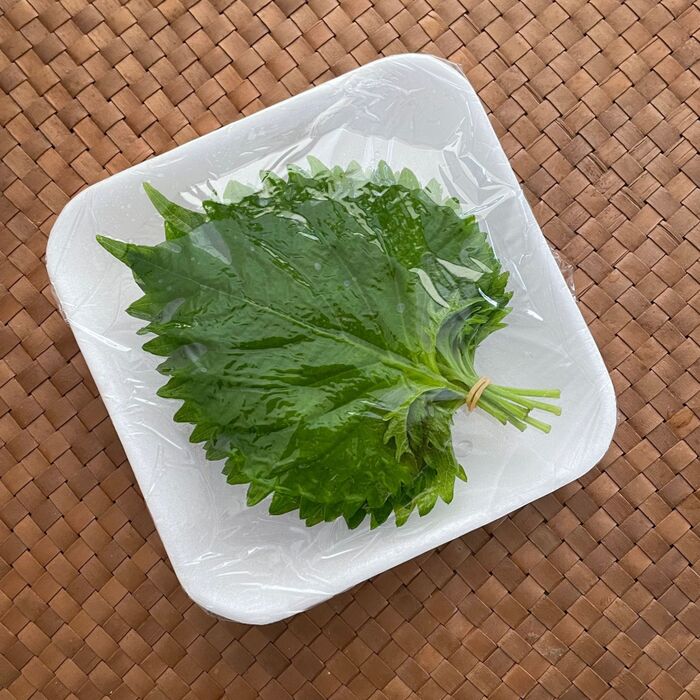 あとは冷蔵庫に入れるだけ