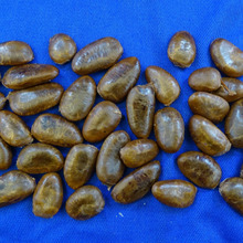 今・・・・・ポポーが面白い 味もその後も ” お い し い ”