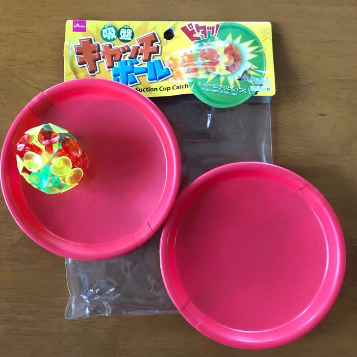 【ダイソー】これ楽しい!雨の日の室内遊びに♪オオタ~ニサ~ン!