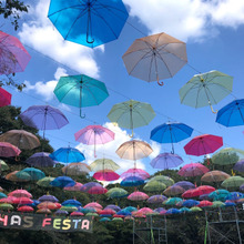 「ロハスフェスタ東京2022」へ行ってきました♪( 9/30~10/2)