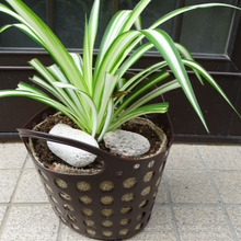 ツーcoin で出来るおしゃんな植木鉢