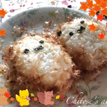 ハリネズミおにぎり♪