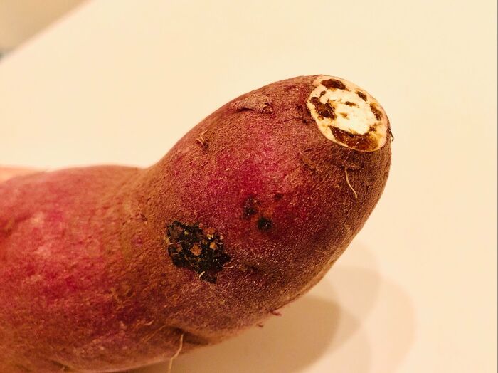 「美味しいさつまいも」とやらを選んでゲット!