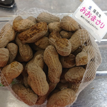 ジャンボ生落花生「おおまさり」