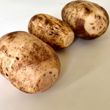 毎日ちょっとずつ食べたい!【蓮根の調理法】