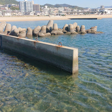 本日の漁場??行きつくところは「佃煮」