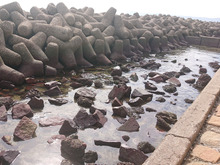 今日の漁場??行きつく所は・・・あさりご飯からの~ おにぎりOnigiriAction!!
