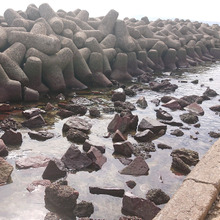 今日の漁場??行きつく所は・・・あさりご飯からの~ おにぎりOnigiriAction!!